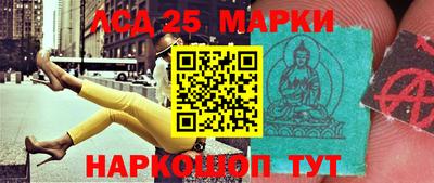 индика Камышлов