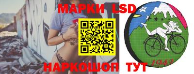 трава Кандалакша