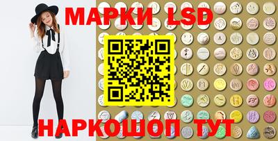 индика Камышлов