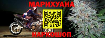 индика Камышлов