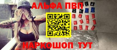 индика Камышлов