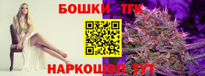 индика Камышлов