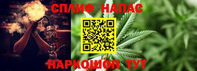 индика Камышлов