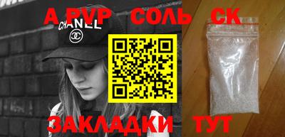 индика Камышлов