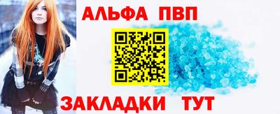 индика Камышлов