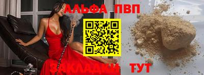 индика Камышлов
