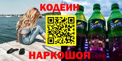 индика Камышлов