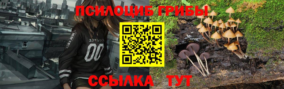 сколько стоит  Вход с VPN  Красногорск  Галлюциногенные грибы ЛСД 